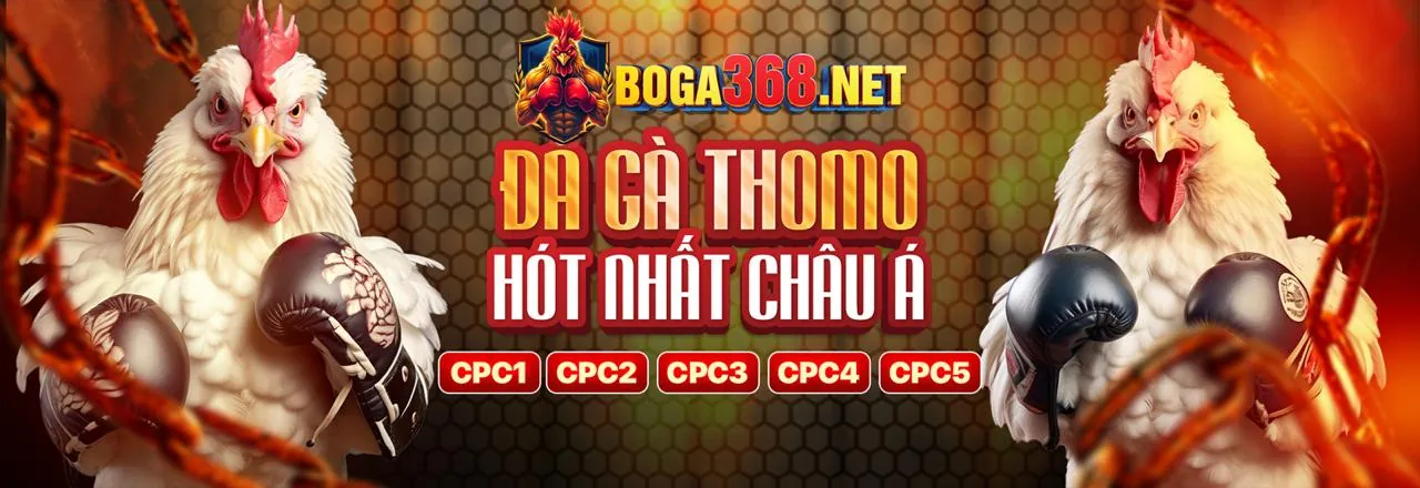 Cá cược thể thao trực tiếp sôi động tại ribbet đăng ký